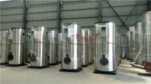 0.2噸生物質(zhì)導熱油爐