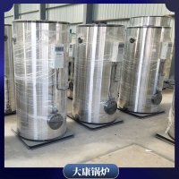 燃氣貫流式蒸汽鍋爐WNS0.3食品企業配套