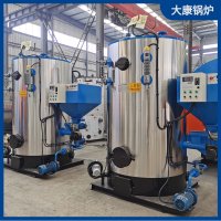 行業(yè)領(lǐng)先技術(shù)燃?xì)忮仩t大全太康鍋爐