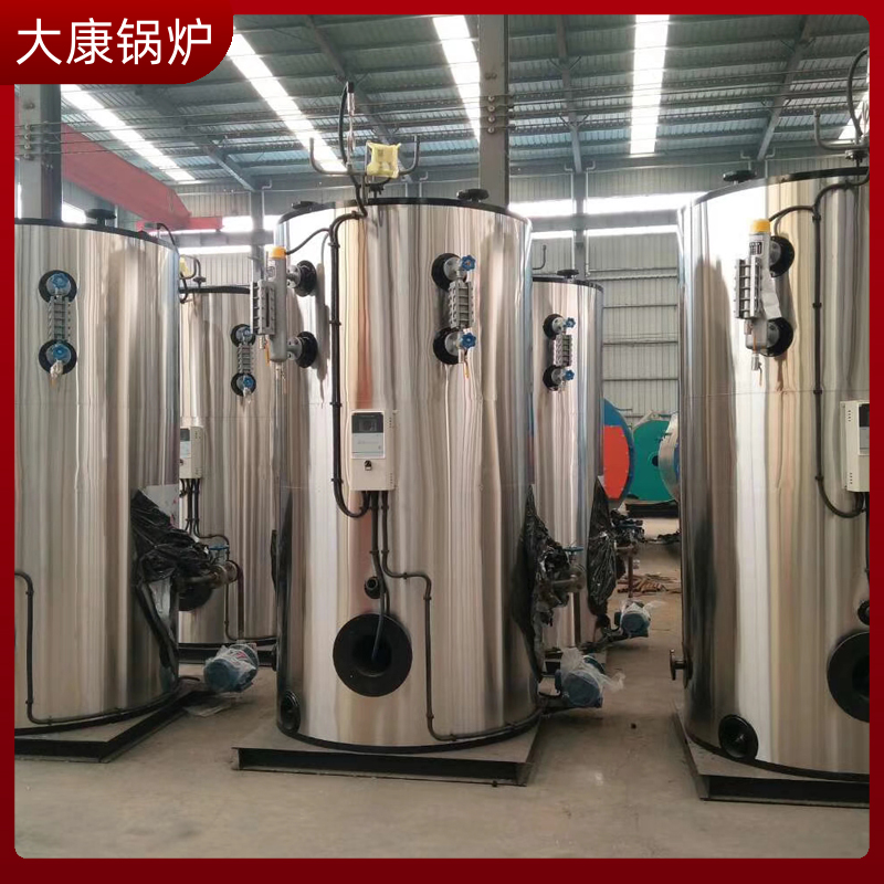 0.3噸液化天然氣蒸汽發生器