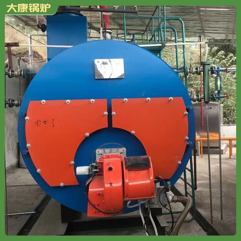 4.2mw低氮蒸汽鍋爐