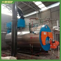 黑龍江半噸低氮導油爐